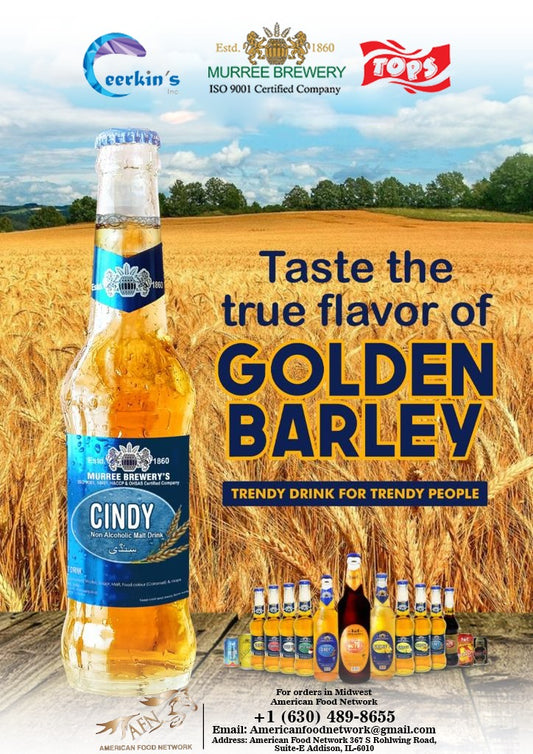 Murree Brewery Malt Drink Regular